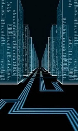 WordPress系统-数据库表名称标注-储存的数据说明-常用知识